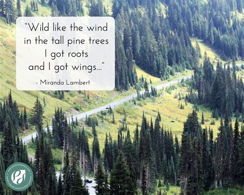 Pine Trees Quotes (5 quotes) .